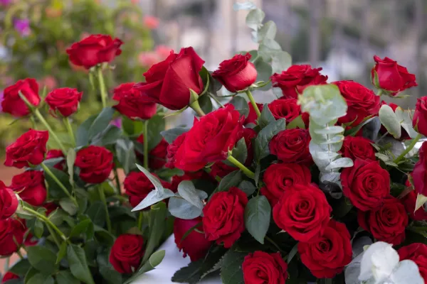 proposal-grand-hotel-san-pietro-roses-candles