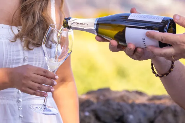 19-wine-tasting-proposal-sicily-