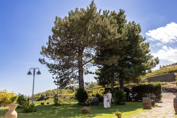 27-coppia-in-vigna-etna-