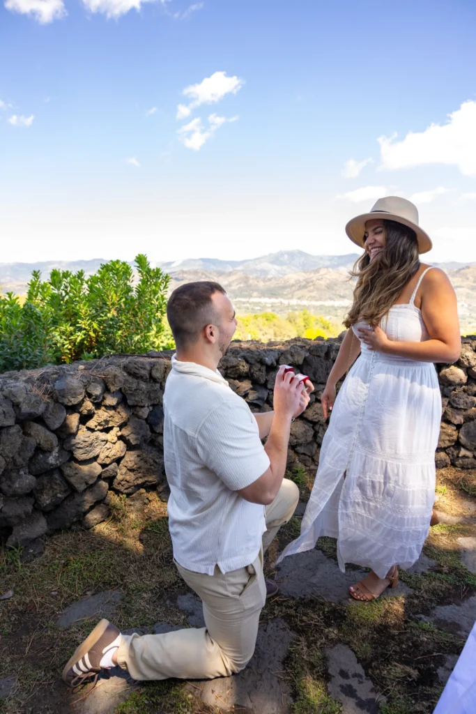 gambino vini - etna proposal